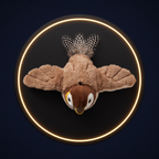 The Solis Wren seen from above with both plush wings spread open and the feather tail fanned out