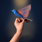 The real Solis Falco held in the hand in profile, for scale