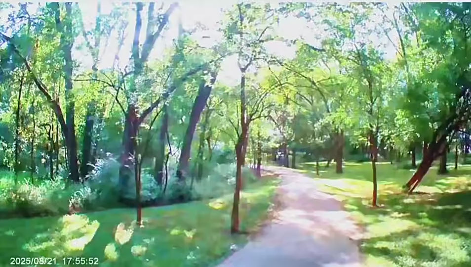 Solis Summit video