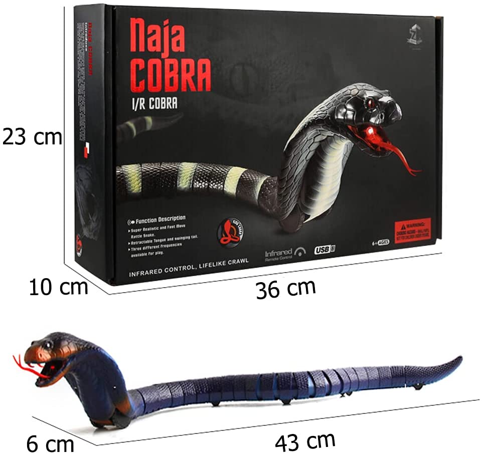 Measured drawing: the snake is 43 cm long and 6 cm tall, the box is 36 by 23 by 10 cm