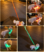 Solis Beamwalk — dogs on night walks wearing light up harnesses in different colours