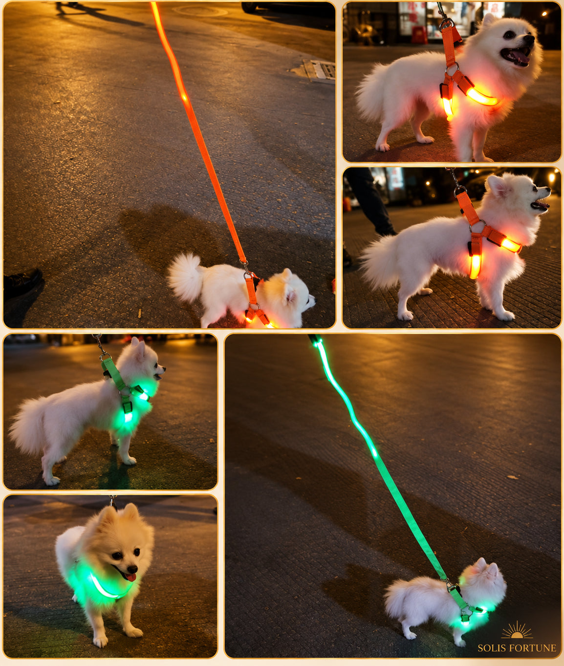 Solis Beamwalk — dogs on night walks wearing light up harnesses in different colours