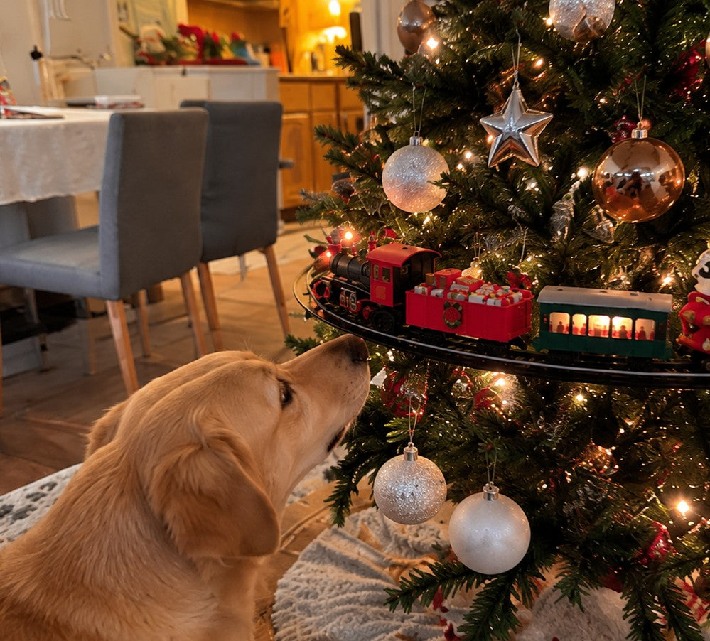 Solis Branchline — golden retriever watching the Christmas tree train