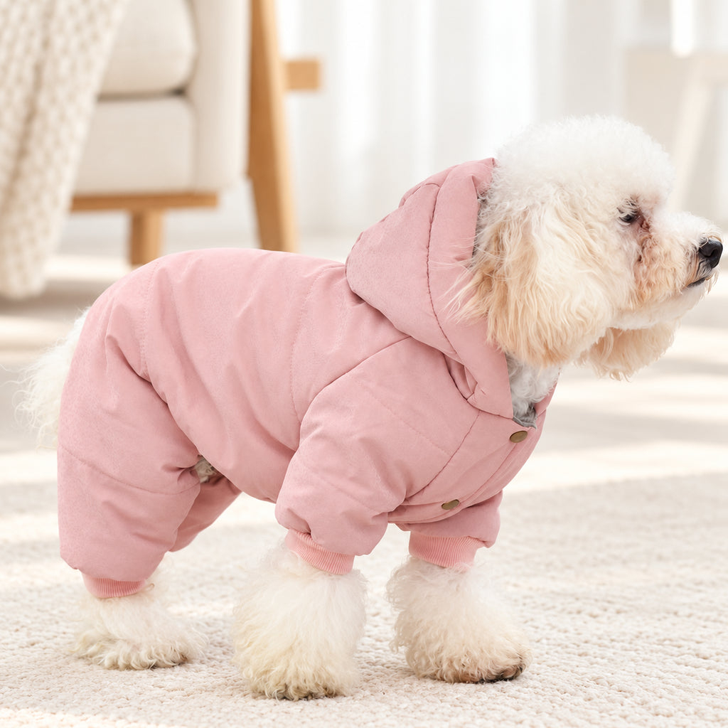 Solis Frostpaw — toy poodle in the pink padded dog winter jumpsuit with hood
