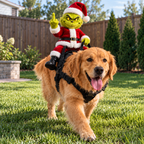 Grinch dog costume — Santa Grinch plush rider in a red Santa suit and hat on a golden retriever pet harness — Solis Grump Rider