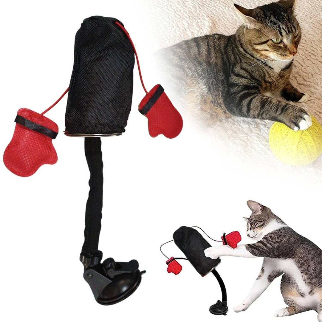 Solis Jab — cats playing with the punching bag toy and its two boxing gloves