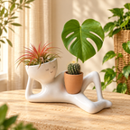 Solis Lazy Bloom — face planter with body on a windowsill with an air plant and a mini cactus pot