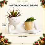 Solis Lazy Bloom — face planter size guide: about 25 cm long and 13 cm high