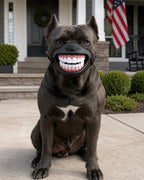 Solis Pawgrin — Cane Corso wearing the grinning dog muzzle on a porch