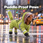 Solis Rainpup — dachshund splashing through a puddle in the olive green dog rain suit with booties