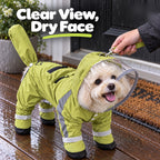 Solis Rainpup — clear hood keeps the face dry, olive green raincoat on a leash