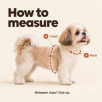Solis Trailtote — how to measure chest and neck
